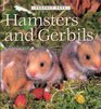 Hamsters and Gerbils