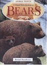Visual Introduction to Bears