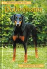 Pet Owner's Guide to the Dobermann