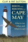 Birds And Birding at Cape May