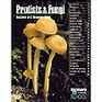 Protists and Fungi (Teachers A-Z Resource Guide)