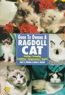 Guide to Owning a Ragdoll Cat