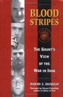 Blood Stripes The Grunt's View of the War in Iraq