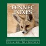 Fennec Foxes Wily Desert Hunters