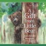 A Gift from Little Bear