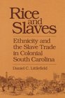 Rice and Slaves Ethnicity and the Slave Trade in Colonial South Carolina