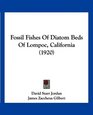 Fossil Fishes Of Diatom Beds Of Lompoc California