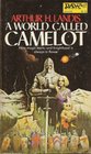 A World Called Camelot