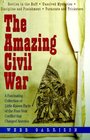 The Amazing Civil War A Fascinating Collection of LittleKnown Facts of the FourYear Conflict That Changed America