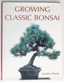 Growing Classic Bonsai