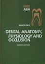 Wheeler's Dental Anatomy Physiology and Occlusion