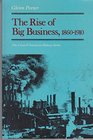 The rise of big business 18601910