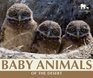 Baby Animals of the Desert