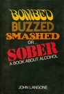 Bombed Buzzed Smashed or  Sober A Book About Alcohol