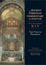 The Twelve Prophets Old Testament XIV (Ancient Christian Commentary on Scripture)