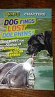 Dog Finds Lost Dolphins and more True Stories of Amazing Animal Heroes