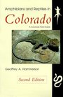 Amphibians and Reptiles in Colorado Revised Edition