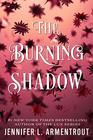 The Burning Shadow (Origin, Bk 2)