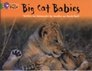 Big Cat Babies Band 05/Green