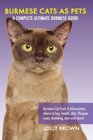 Burmese Cats as Pets Burmese Cat Facts  Information where to buy health diet lifespan types breeding care and more A Complete Ultimate Burmese Guide