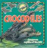 Crocodiles (10 things you should know about)