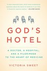 God's Hotel A Doctor a Hospital and a Pilgrimage to the Heart of Medicine