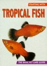 Starting With Tropical Fish