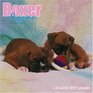 Boxer Puppies 2007 Wall Calendar