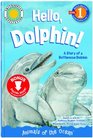 Bottlenose Dophin
