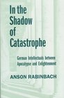 In the Shadow of Catastrophe German Intellectuals Between Apocalypse and Enlightenment