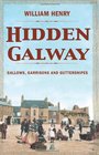 Hidden Galway Gallows Garrisons and Guttersnipes