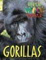 Wild Wild World  Gorillas