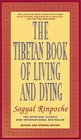 The Tibetan Book of Living and Dying The Spiritual Classic  International Bestseller Revised and Updated Edition