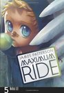 Maximum Ride The Manga Vol 5