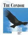 Endangered Animals and Habitats  The Condor