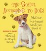 The Gospel According to Dogs What Our FourLegged Saints Can Teach Us