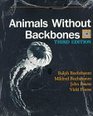 Animals Without Backbones  An Introduction to the Invertebrates