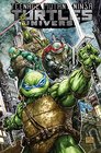 Teenage Mutant Ninja Turtles Universe Vol 1