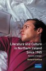 Literature and Culture in Northern Ireland Since 1965 Moments of Danger