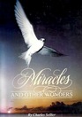 miracles and other wonders
