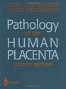 Pathology of the Human Placenta