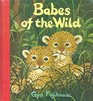 Babes Of The Wild
