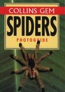 Spiders Photoguide