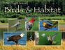 Our Puget Sound Birds  Habitat Including Other Washington Locations