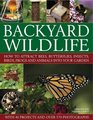 Backyard Wildlife How to attract bees butterflies insects birds frogs and animals into your garden