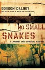 No Small Snakes A Journey Into Spiritual Warfare