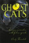 Ghost Cats Human Encounters with Feline Spirits