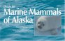 Guide to Marine Mammals of Alaska Second Edition