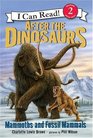 After the Dinosaurs Mammoths and Fossil Mammals