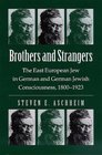 Brothers and Strangers The East European Jew in German and German Jewish Consciousness 18001923